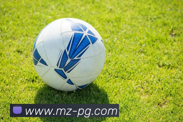 pg电子APP 高清赛事图